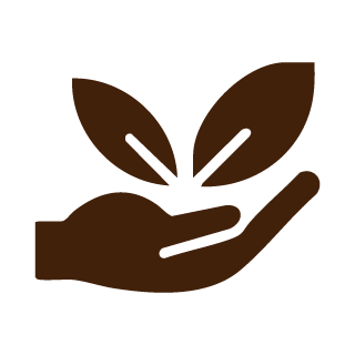 Sustainable Practices